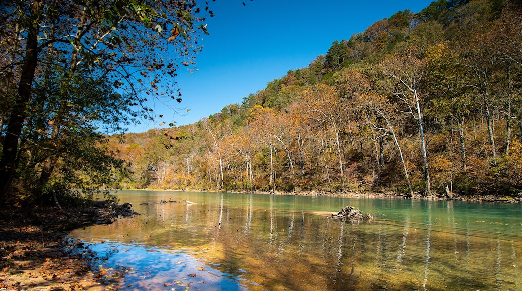 แวนบิวเรน