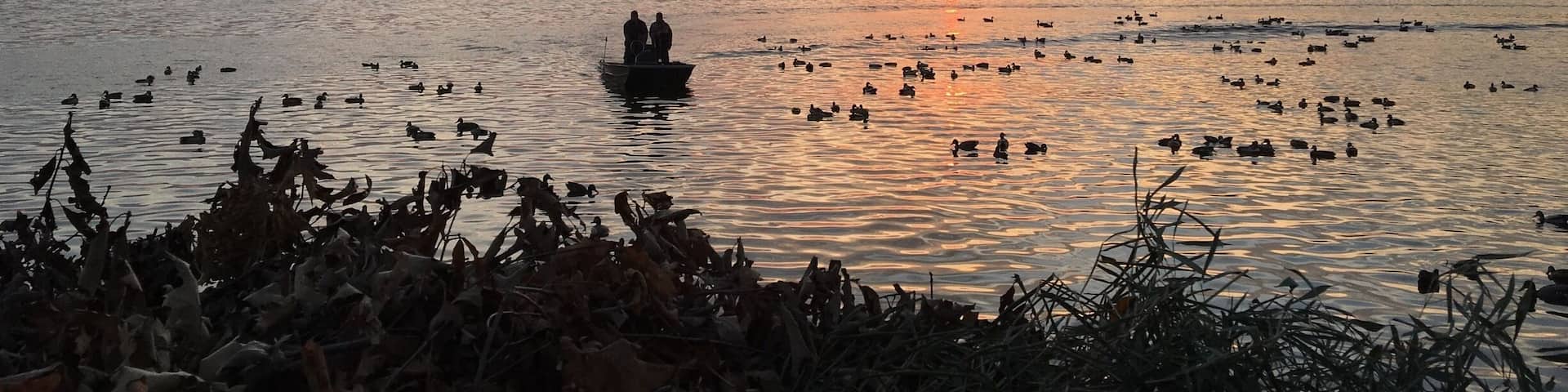 Sunrise from the duck blind.