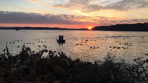 Sunrise from the duck blind.