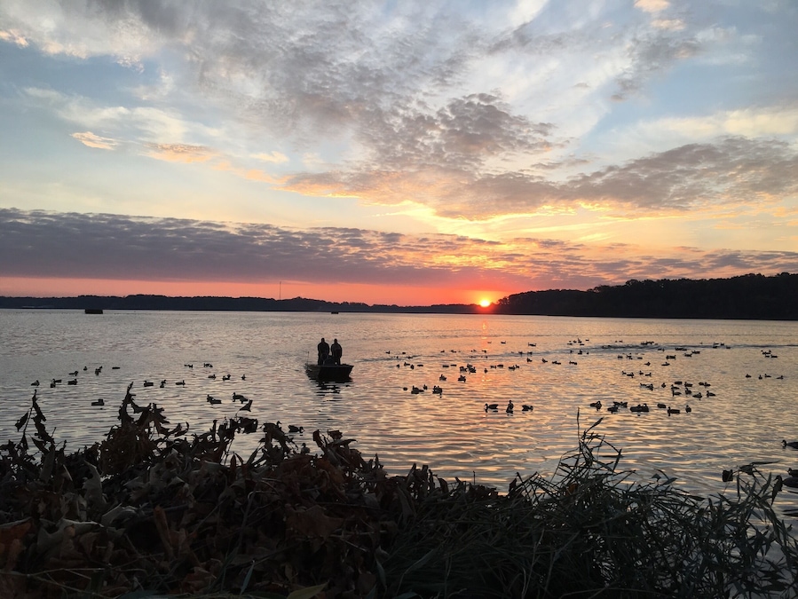 Sunrise from the duck blind.