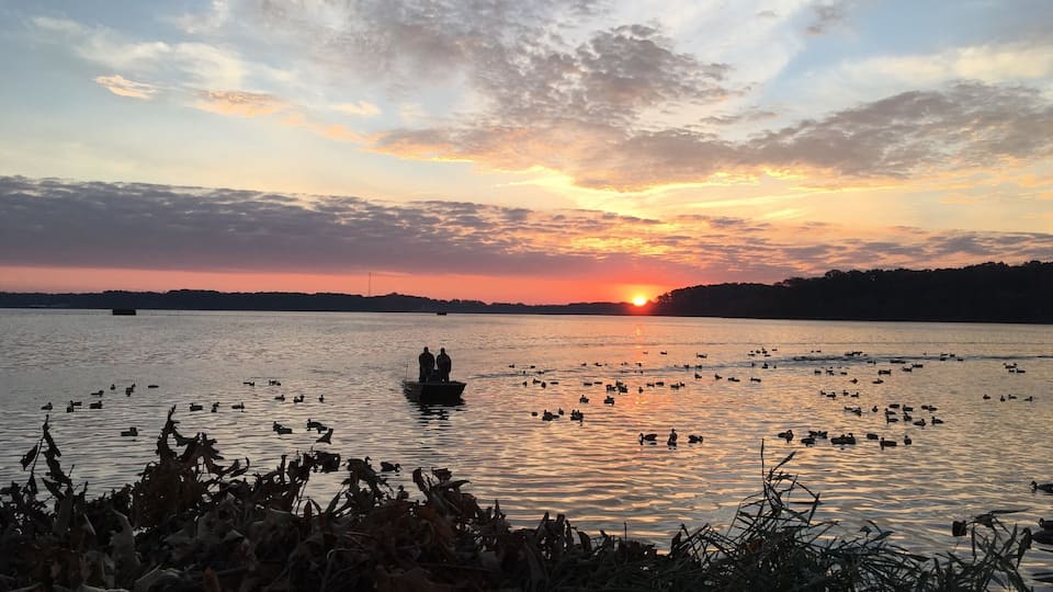 A sunset over a lake with boats and ducks.