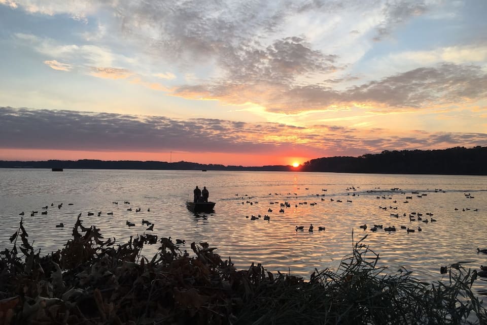 A sunset over a lake with boats and ducks.