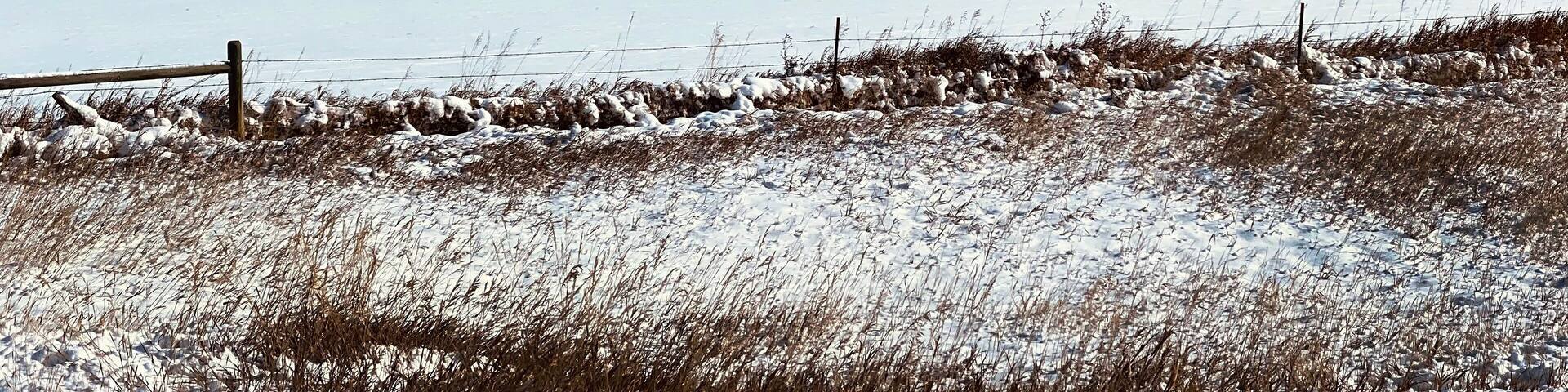 Snow on the Bridger Mountains, Belgrade MT