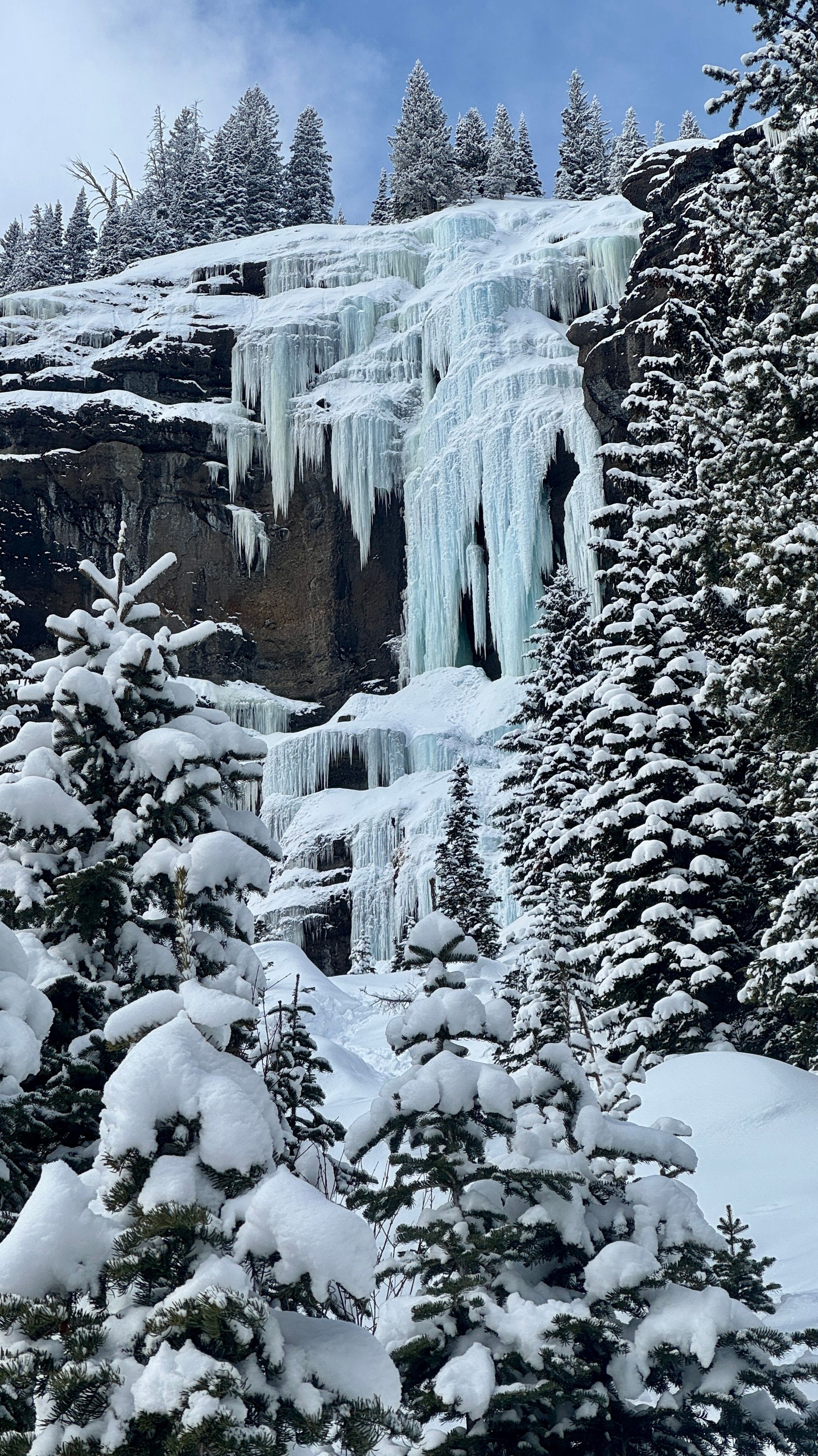 A frozen waterfall surrounded by snow-covered trees.