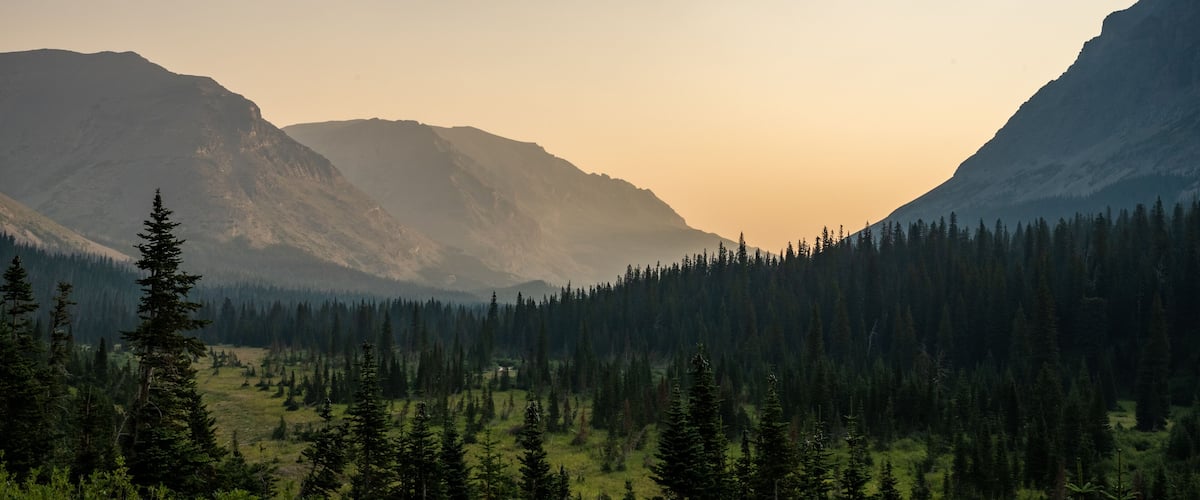 Forest In The Valley of Cut Bank