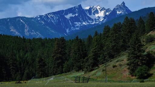 Seen from the pull off along the highway.