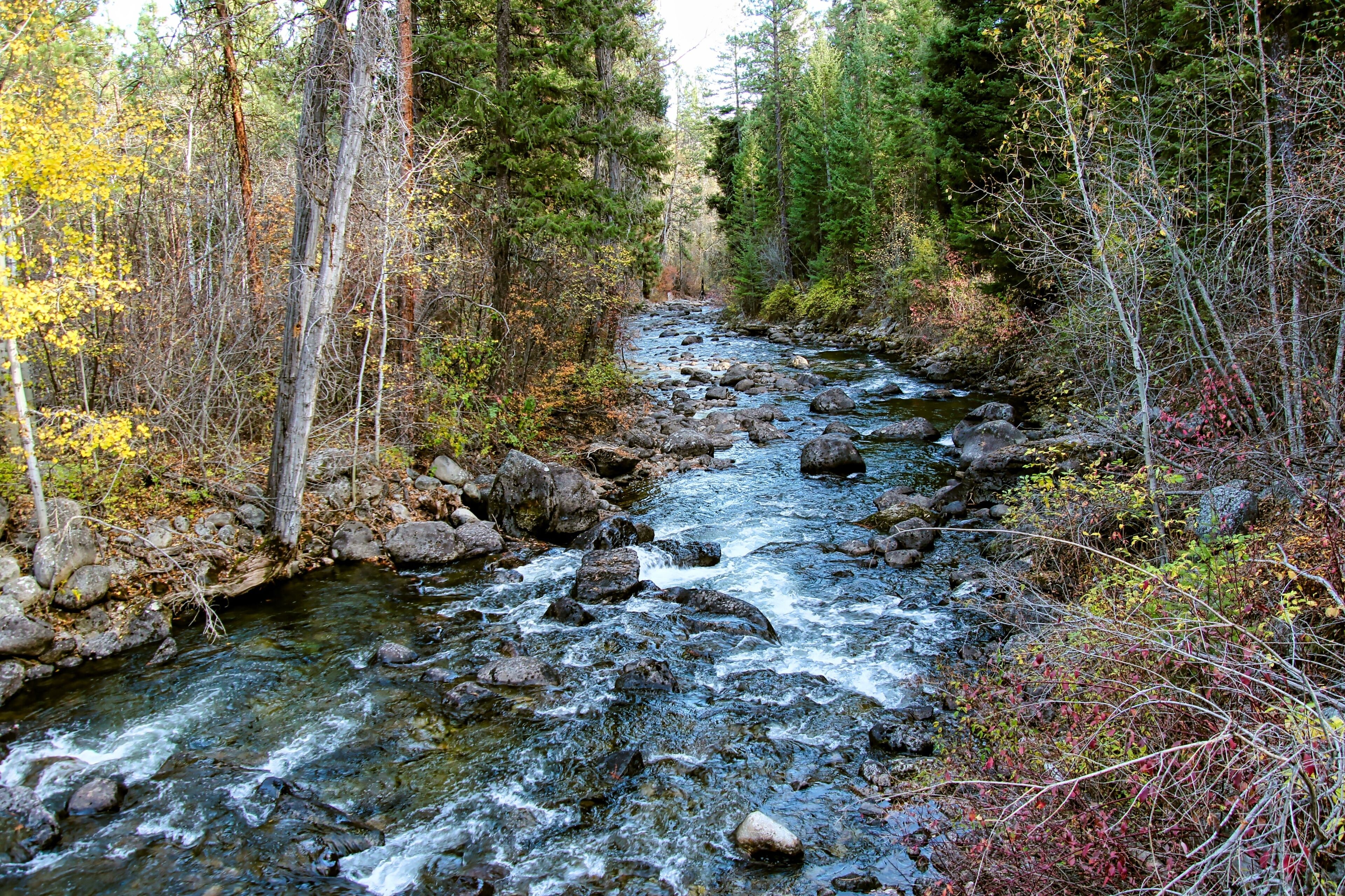 Rock Creek in the Fall Near Darby Montana.