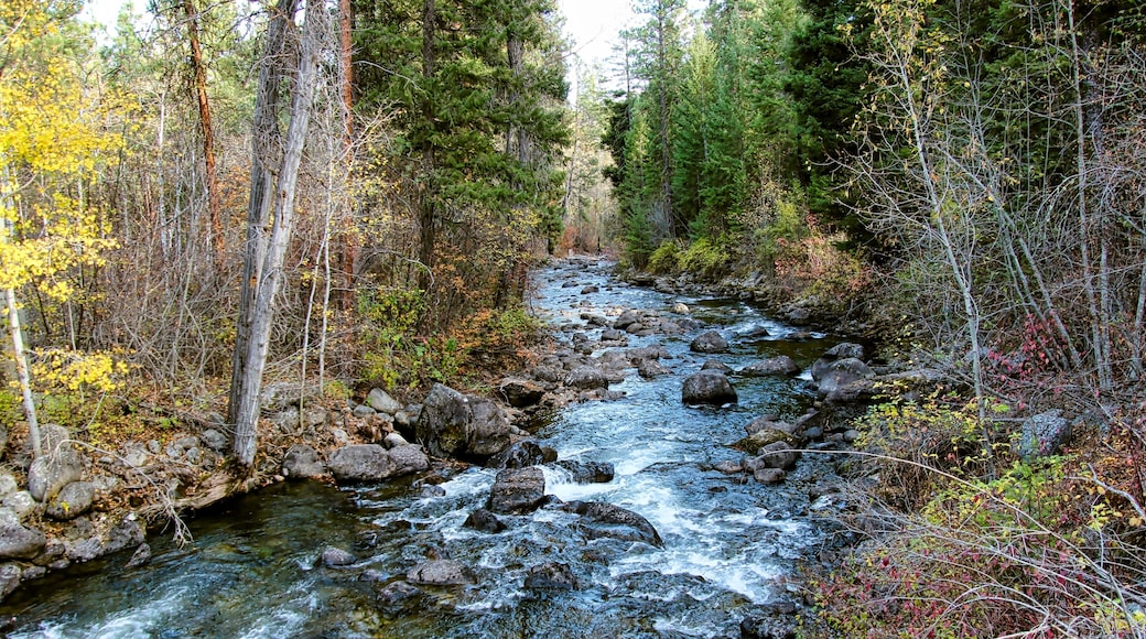 Rock Creek in the Fall Near Darby Montana.