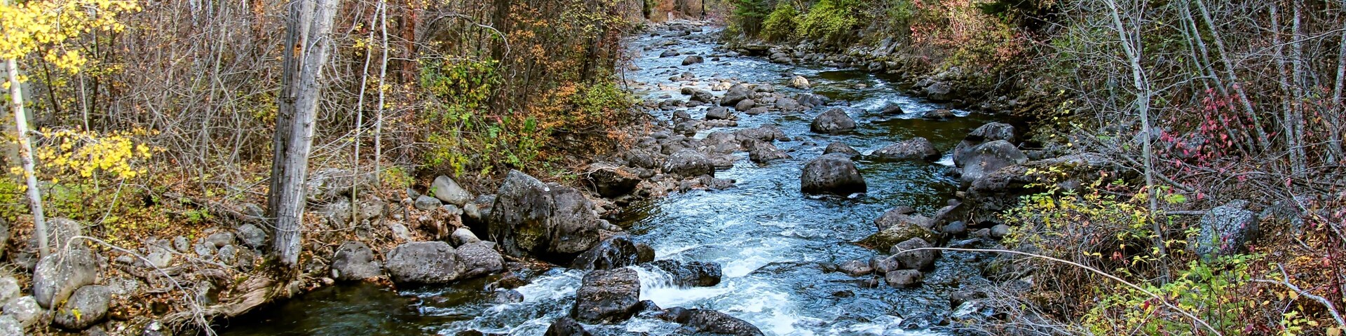 Un arroyo serpentea entre árboles otoñales en un bosque rocoso.