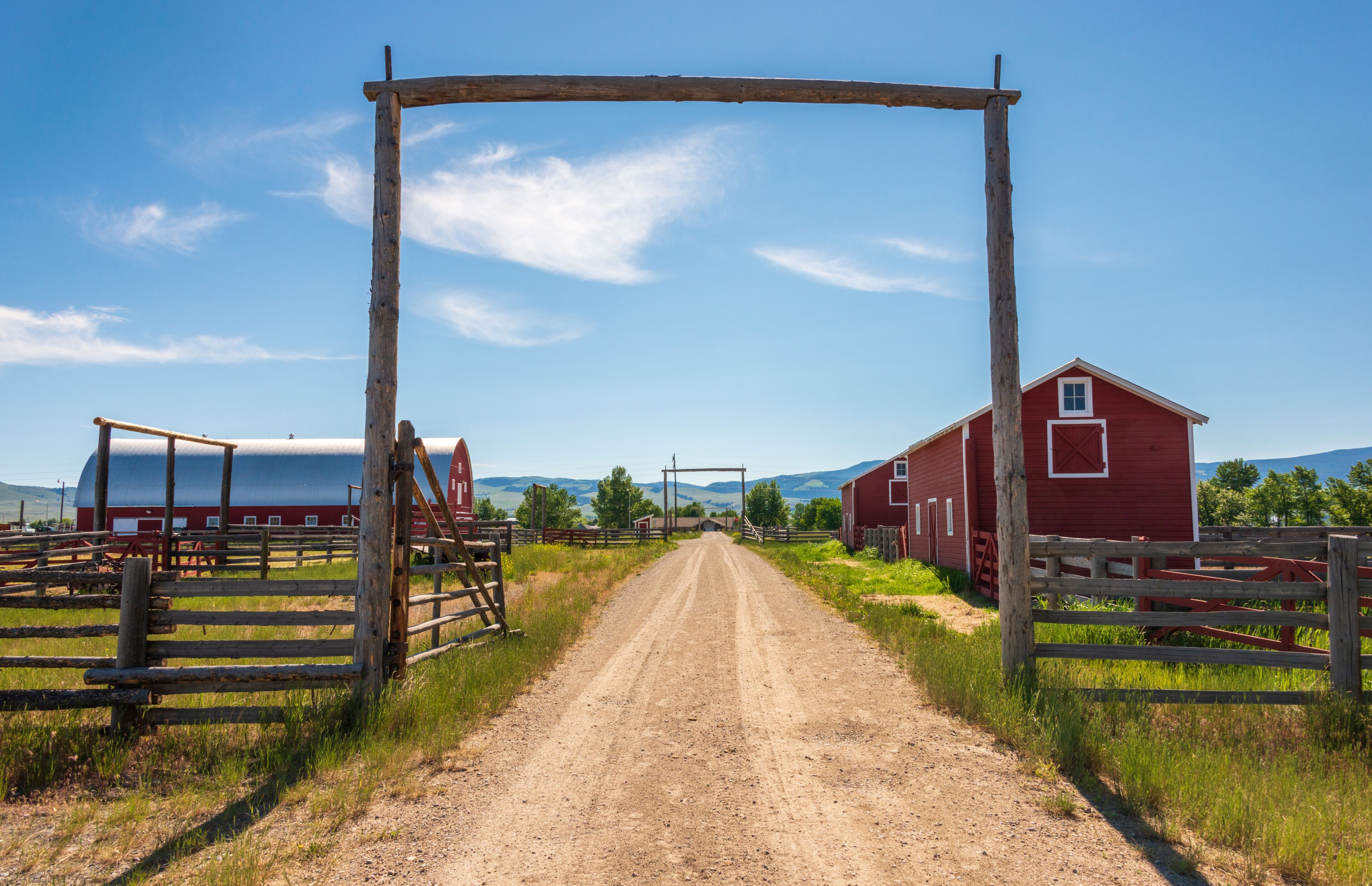 A rural dirt road leading to a red barn and a white barn, surrounded by wooden fences and greenery.