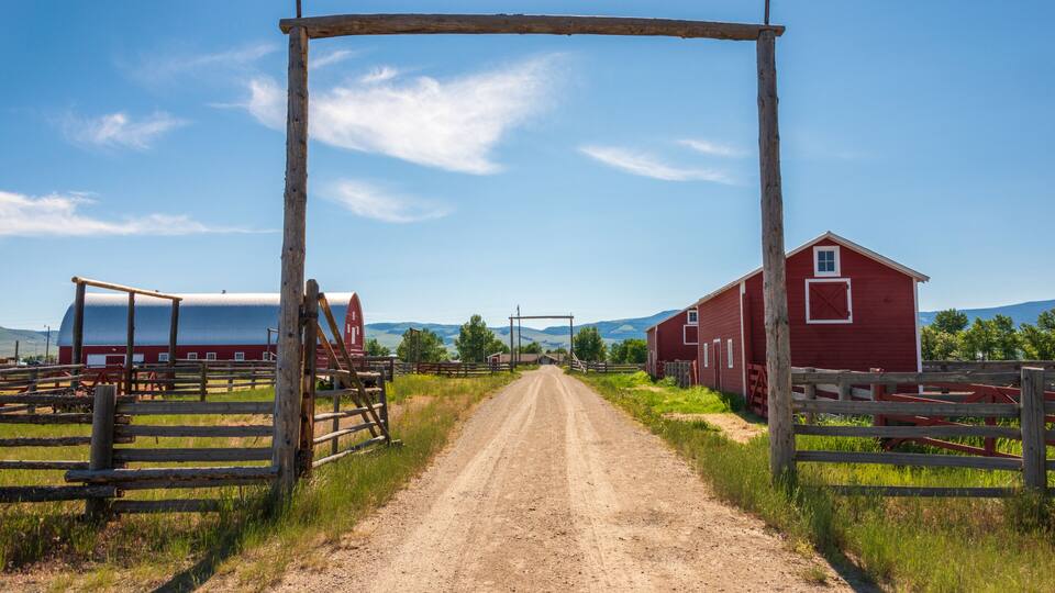 A rural dirt road leading to a red barn and a white barn, surrounded by wooden fences and greenery.
