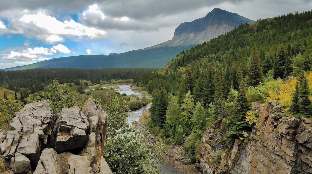 #glaciernationalpark #manyglacierlodge #green #swiftcurrent