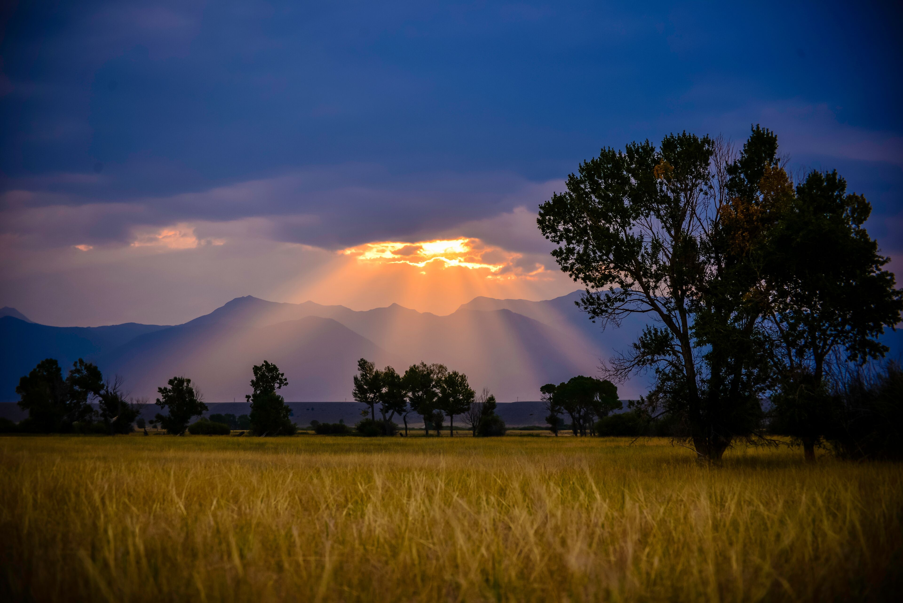 Rays on sunshine over a field during a sunrise over Ennis, Montana summer morning.