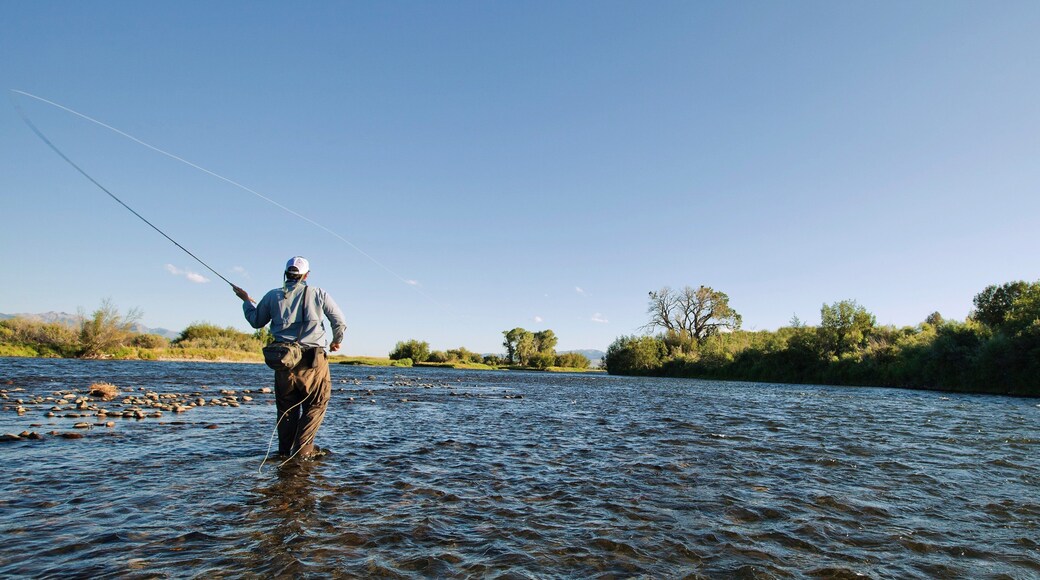 Ennis som viser fisking og elv eller bekk i tillegg til en mann