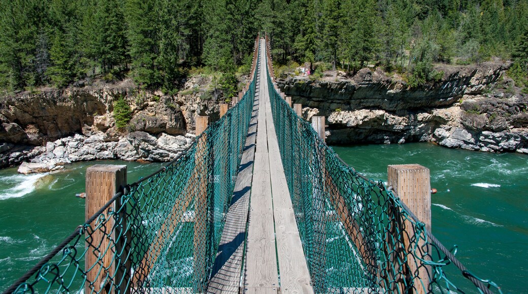 View of swinging bridge at Kootenai Falls