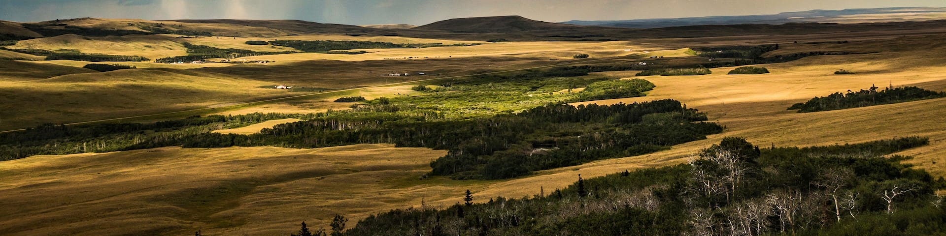 dramatic summer landscape photo taken in Glacier national Park in Montana.