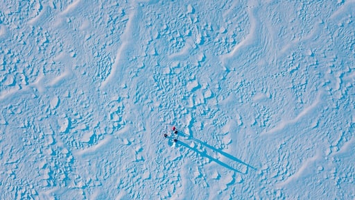 When the snow covers the ground it looks like a whole new world #Adventure