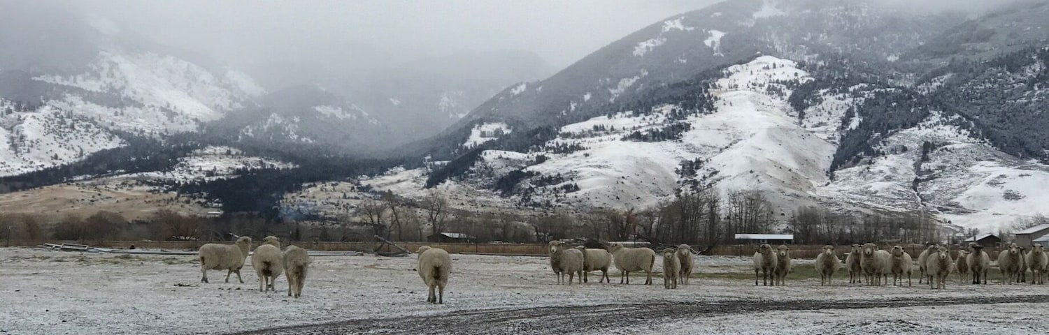 Small one in a ranch