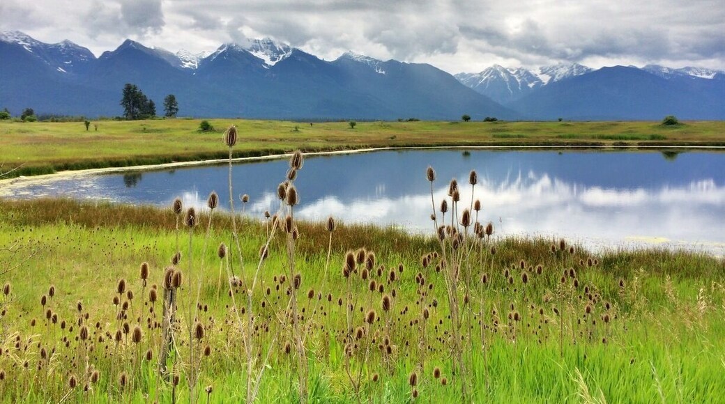 The Mission Mountains are a beautiful sight on the drive up to West Glacier in Glacier National Park, Montana. Yes, it's a well-marked and obviously staged pull-out on the road, so this shot is nowhere close to unique, but nevertheless, I'm proud I was able to capture it and do it at least some level of justice.
#roadtrip