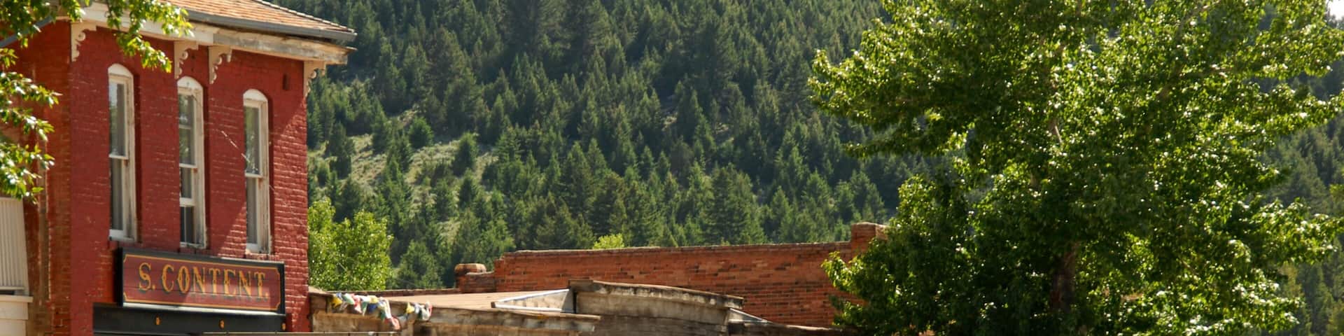 Virginia City which includes forest scenes, heritage architecture and a small town or village