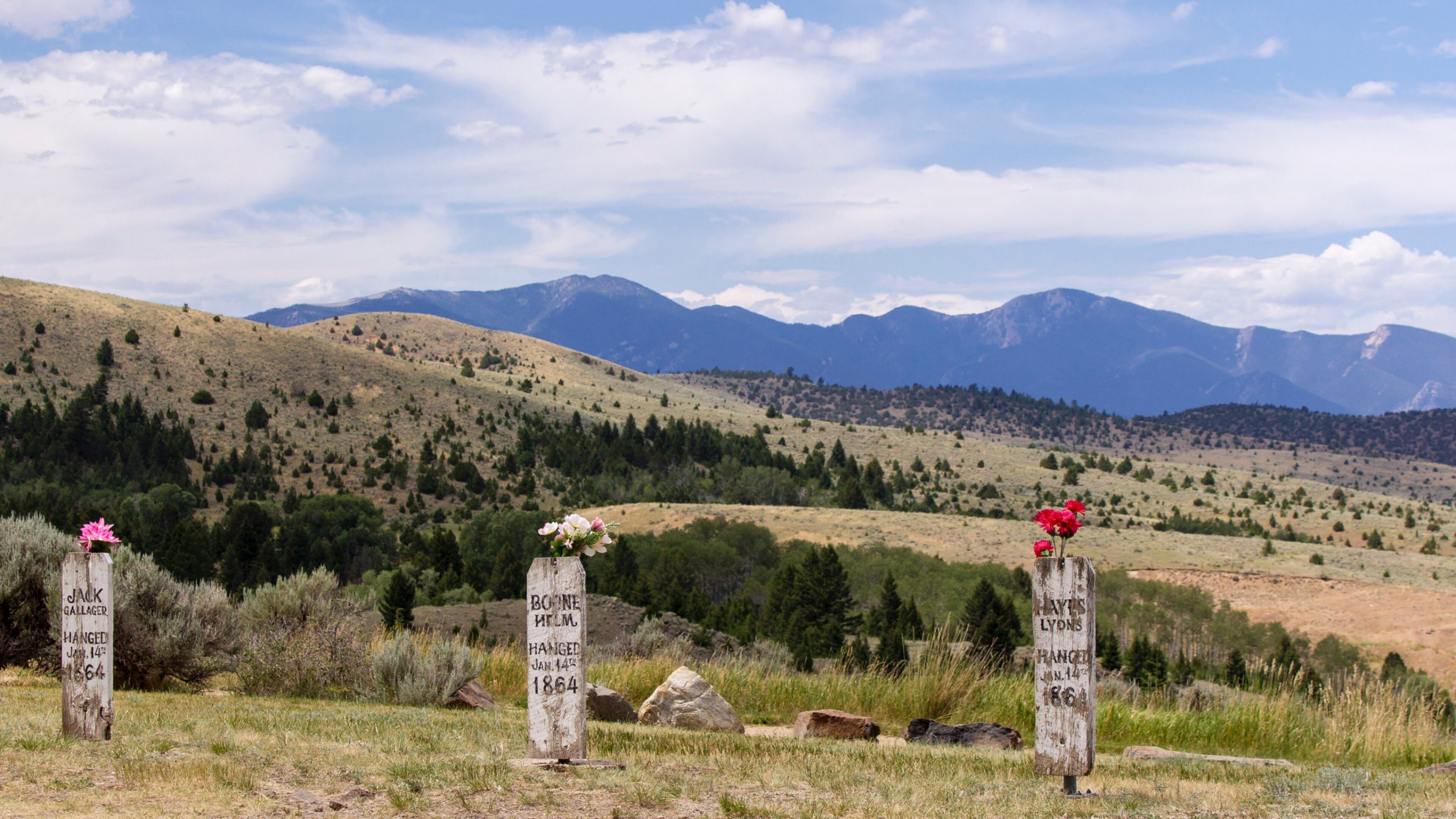 Virginia City which includes mountains and forests