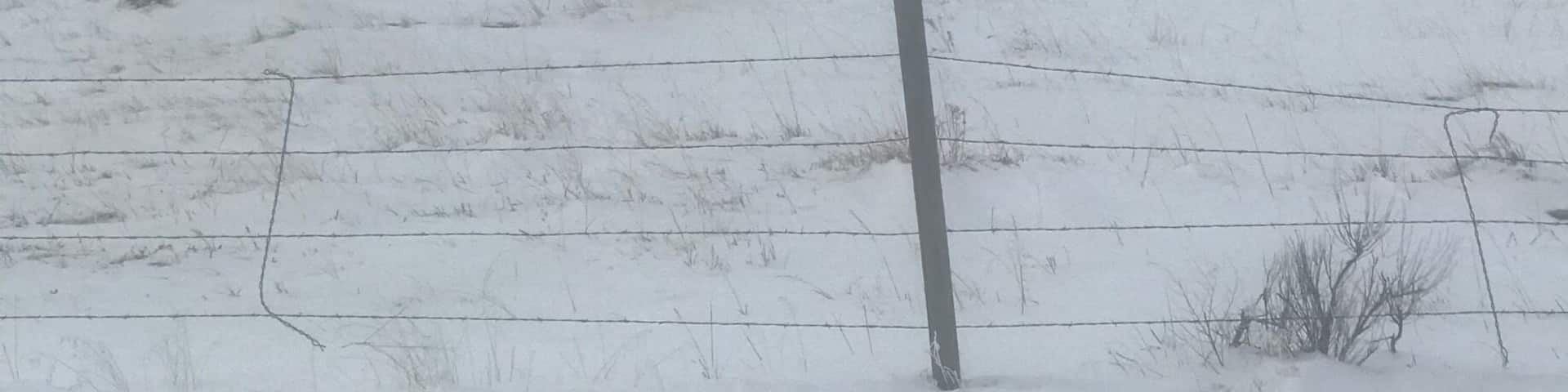 It is in the middle of no where! Was a big fan Oregon Trail had to come see it.