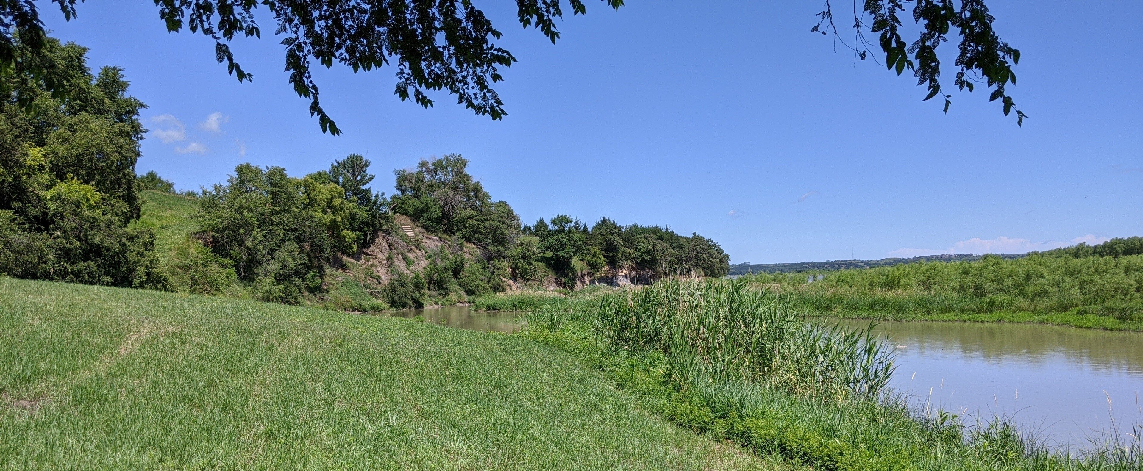 A river with a grassy bank, trees, and a clear blue sky.