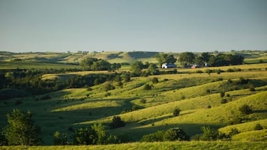 Rolling hills, green fields, scattered trees, and a few buildings in the distance.