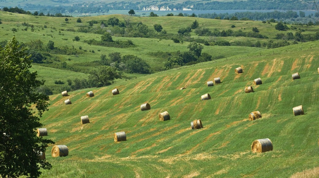 Niobrara which includes landscape views and tranquil scenes