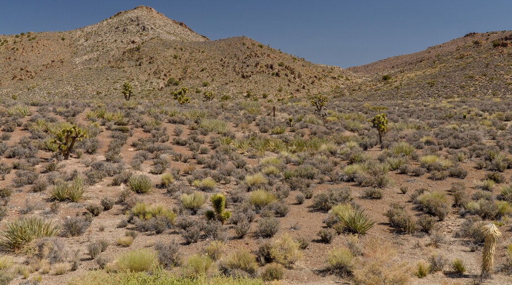 scenic view of Pahranagat Range from Extraterrestrial Highway (Lincoln county, Nevada, USA)