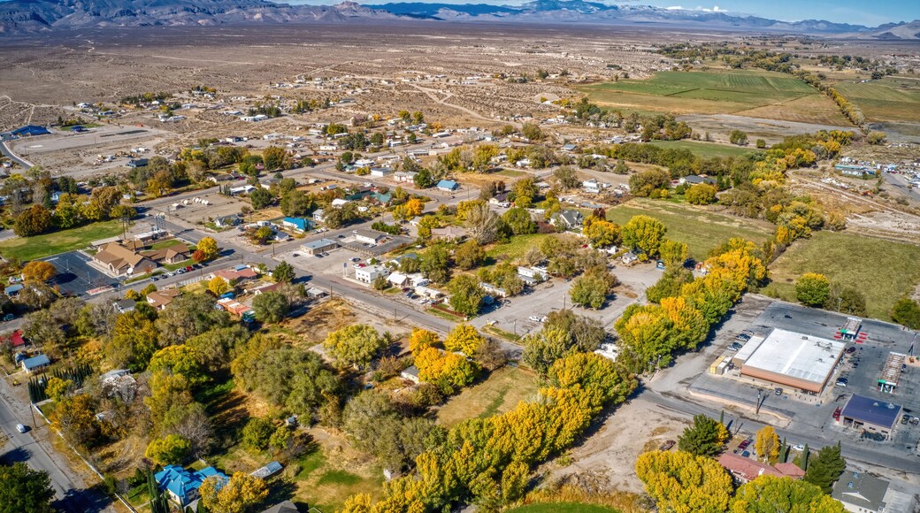 Aerial View of Autumn Colors in the small Nevada town of Alamo