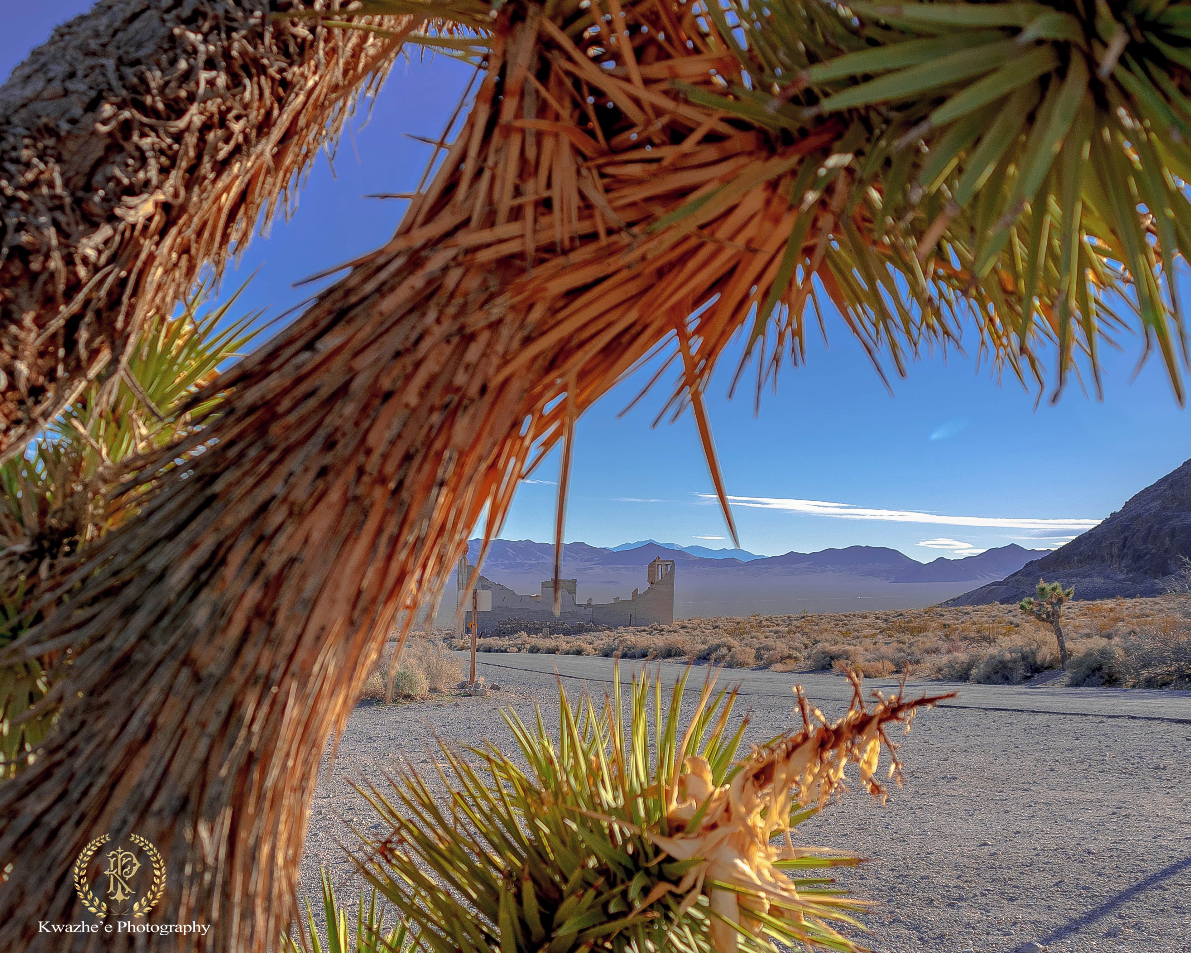 2020 of Feb 8th - Rhyolite, Nevada