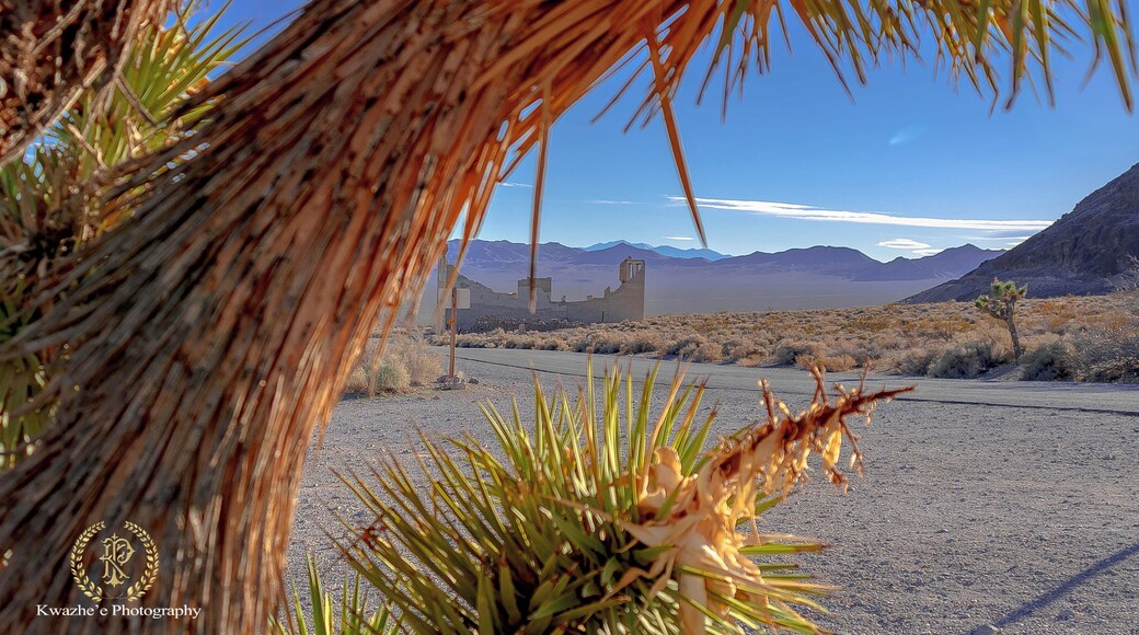 2020 of Feb 8th - Rhyolite, Nevada