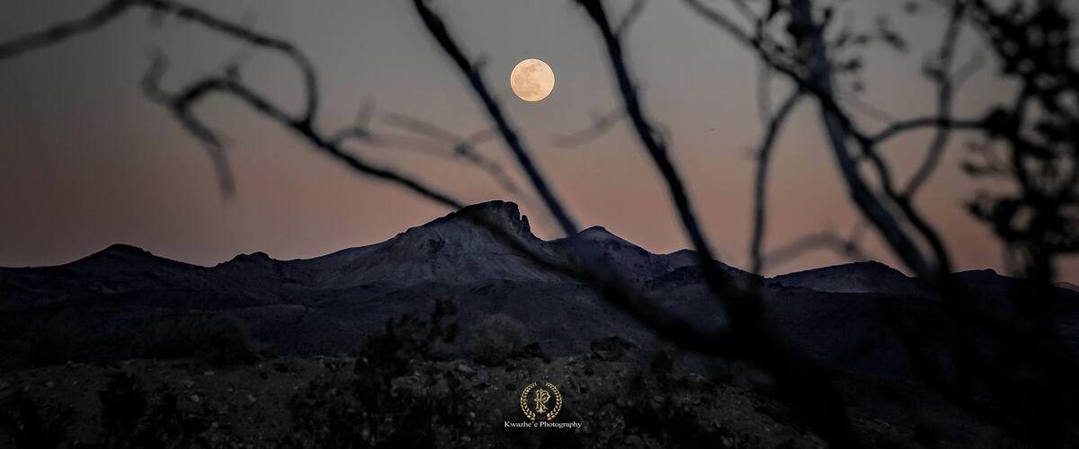 A moonlit mountain landscape with silhouetted trees.