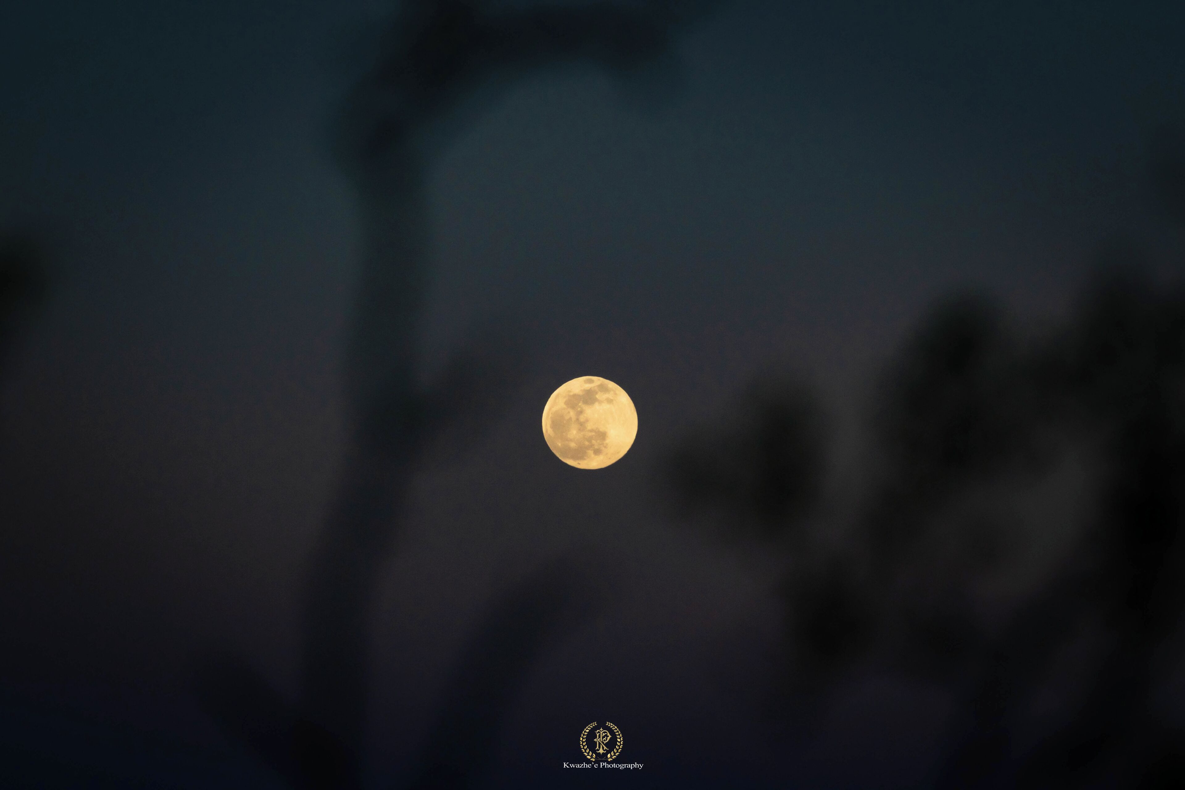 2020 of Feb 8th - Snow Moon! Rhyolite Rd, Beatty, Nevada