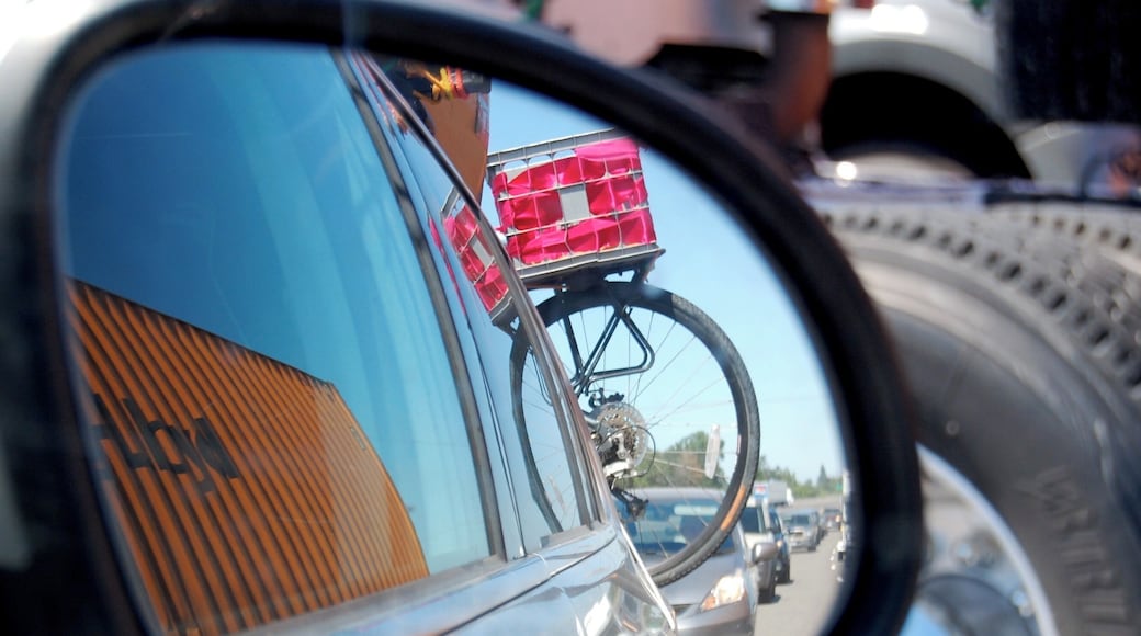 I spy a playa bike #burningman2011 #flashback #lifeatexpedia