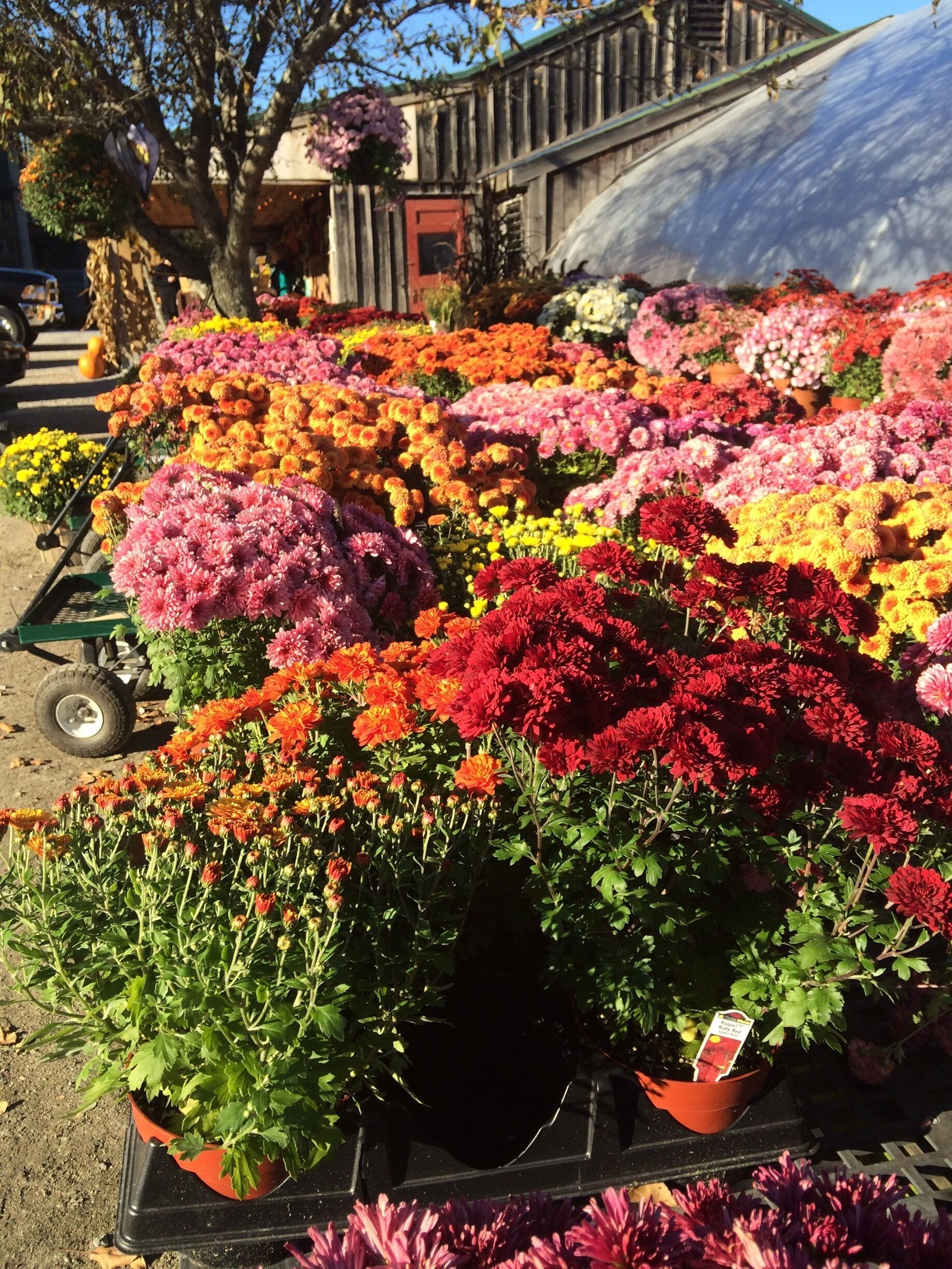 Fall has arrived in New Hampshire