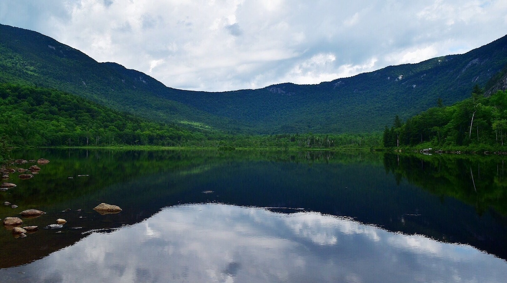Beautiful Basin Pond