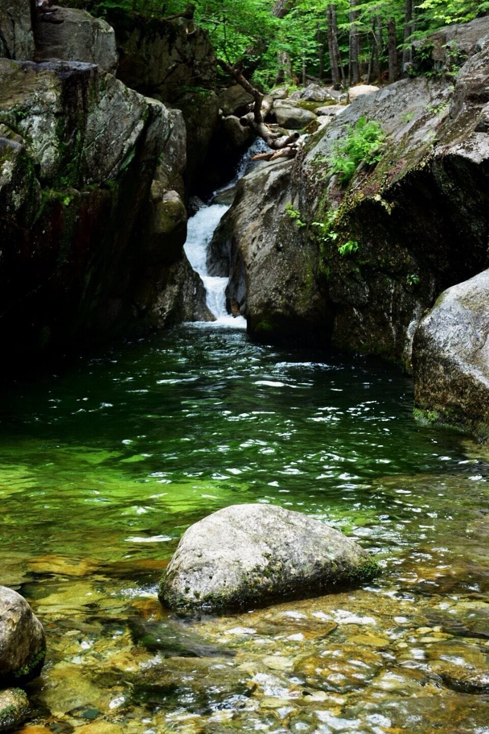 Greenish tint to the crystal clear water caused by minerals.