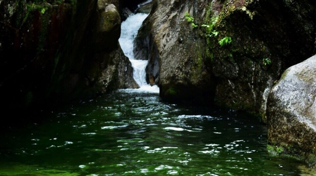 Greenish tint to the crystal clear water caused by minerals.