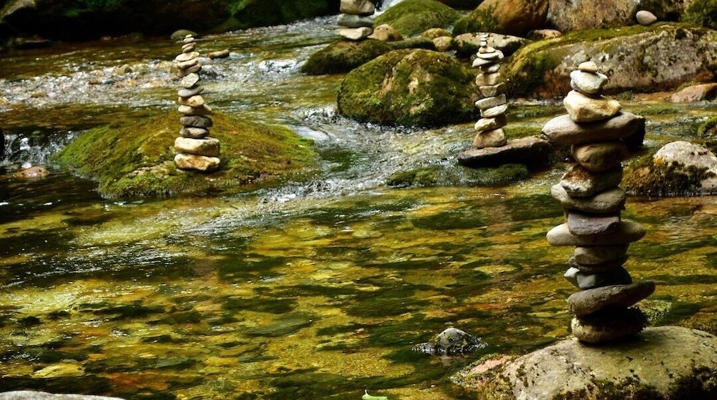 Greenish tint to the crystal clear water caused by minerals.
