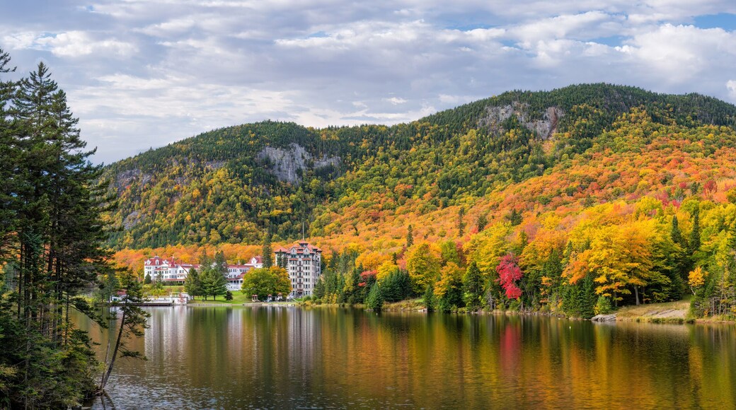 ๋์๋น ๋
ธ์น