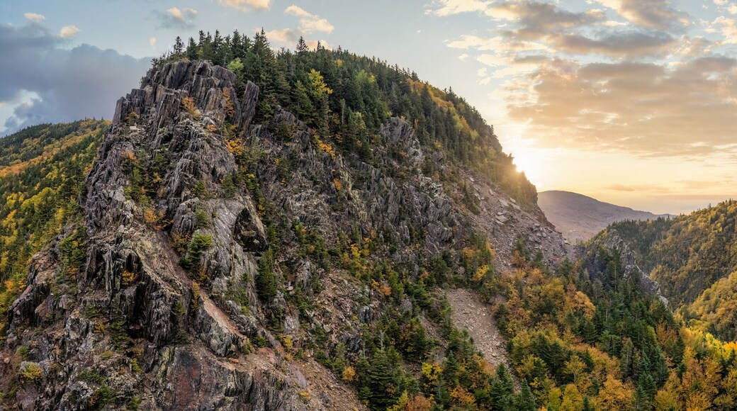 ๋์๋น ๋
ธ์น