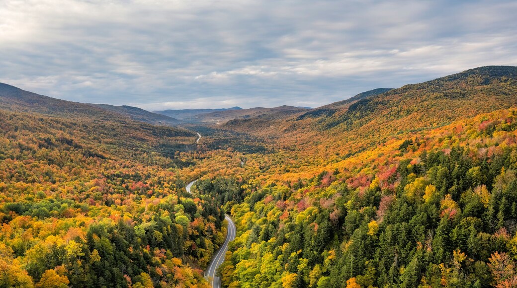 ๋์๋น ๋
ธ์น