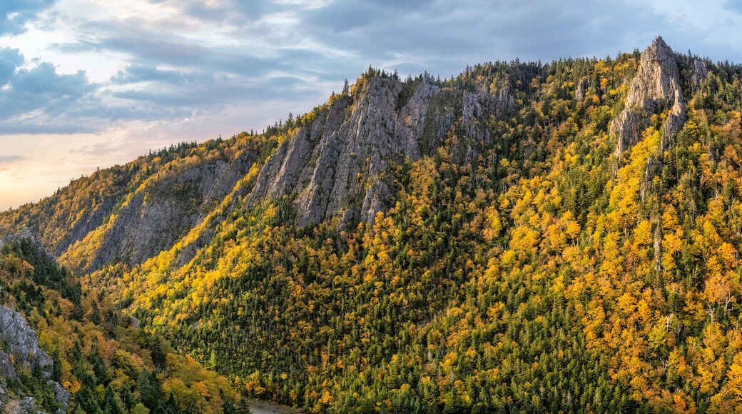 ๋์๋น ๋
ธ์น