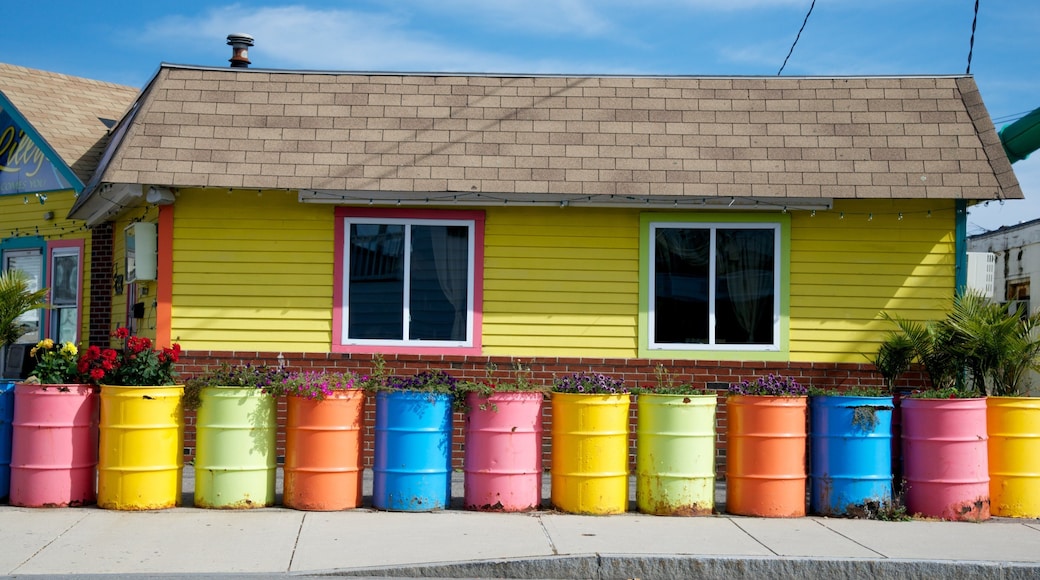 햄프턴 비치 을 보여주는 꽃 과 집