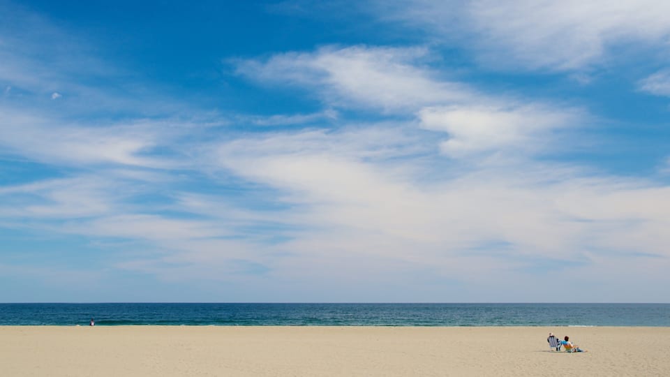 A beach with a clear sky and calm sea.