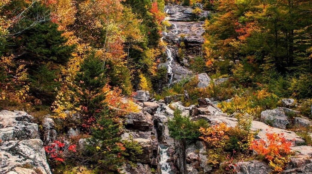 Silver Cascade is one of the few true roadside waterfalls you can managed to see during a New England trip ...Given its ease of accessibility just off the side of the road!! Watch for it or you might just blow by it!!