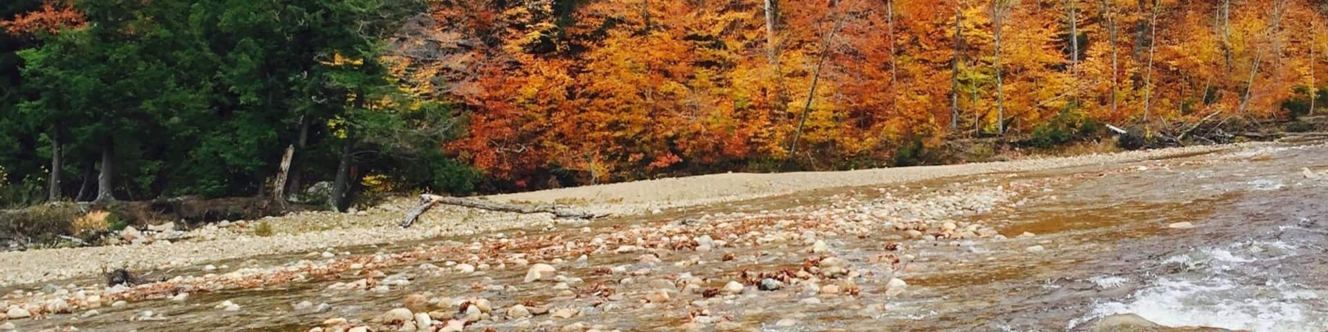 Fall colours reflecting on river water !! #nothing much expected than this from Mother Nature!! On the way to white mountains!!