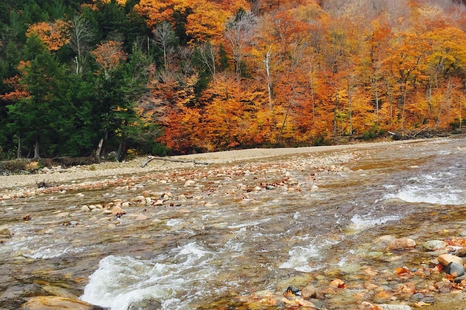 A river with clear water, surrounded by autumn-colored trees and rocky riverbed.